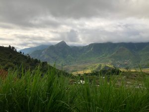 ライチャウ視察③